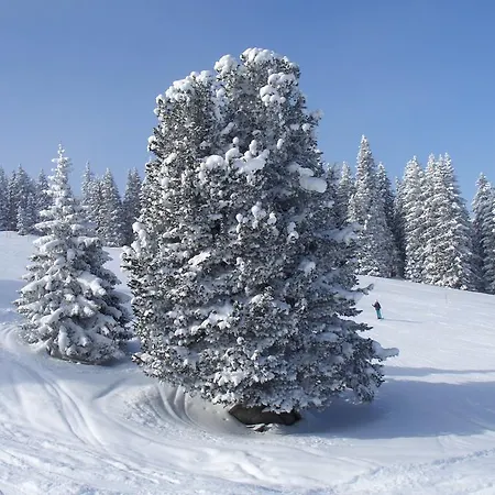 Achental Гостевой дом