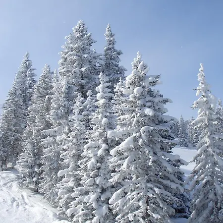 Achental Гостевой дом 3*