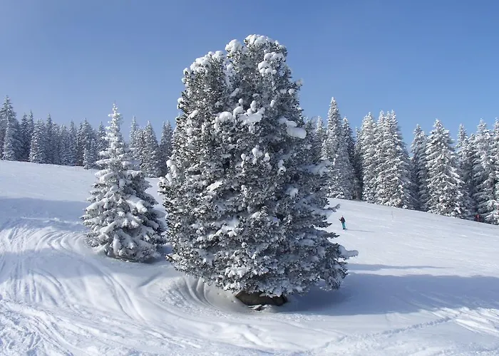 Achental Affittacamere