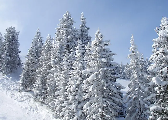 Achental Affittacamere 3*